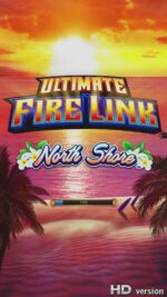 P_20221203_151338 - 副本